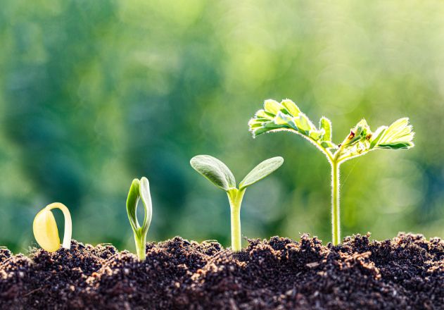 631 x 440 webdesign DenBre (14)