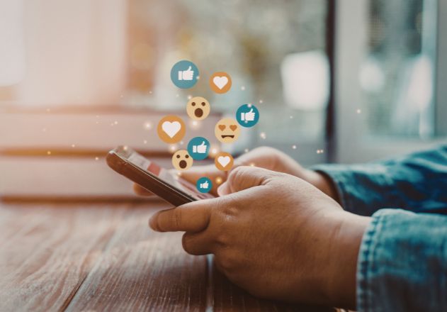 631 x 440 webdesign DenBre (8)